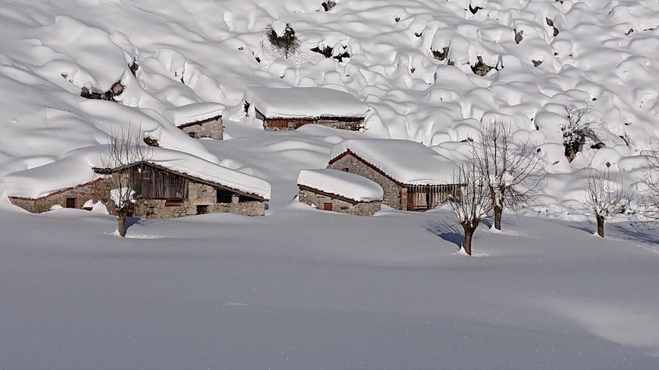Casa Rural Las Fraguas Llanes, Gulpiyuri, Bufones Bagian luar foto